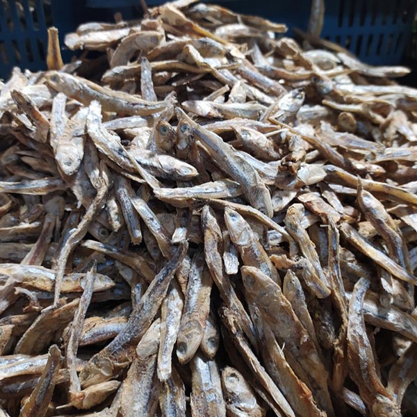 Big Anchovies (Periya Nethili)